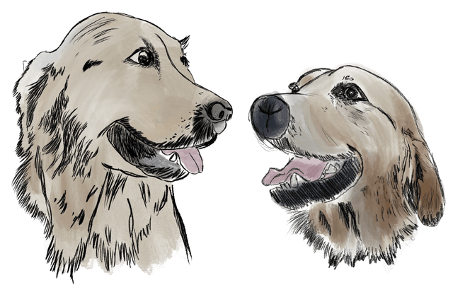 Honey e Molly, le mascotte